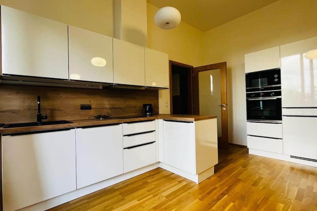 Apartment Holesovice, Garden, Garage 布拉格 外观 照片