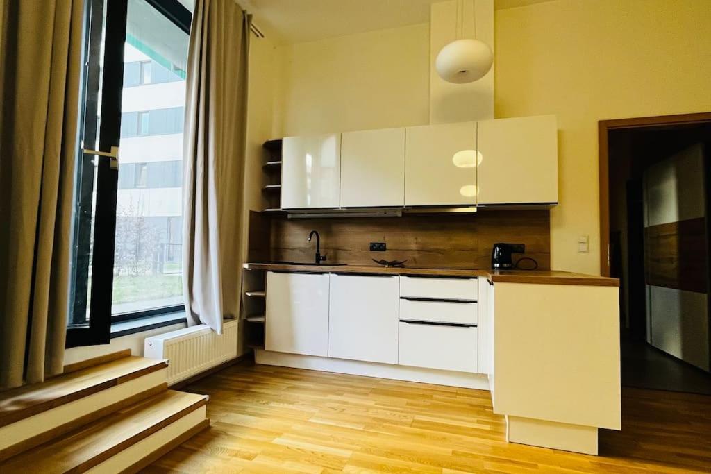 Apartment Holesovice, Garden, Garage 布拉格 外观 照片