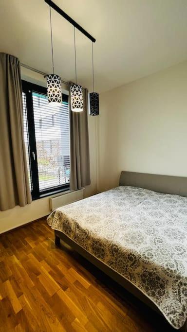 Apartment Holesovice, Garden, Garage 布拉格 外观 照片